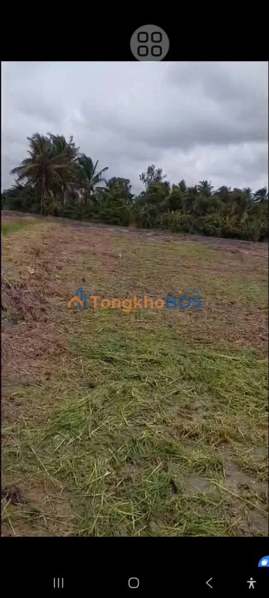 Đất vườn Châu Thành Kiên Giang 2000m2/1 tỷ - Nghỉ dưỡng lý tưởng