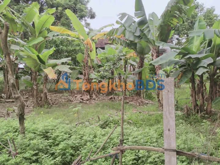 Đất Mỹ Tân Nam Định 175m2 875 triệu - Giá tốt hiếm có