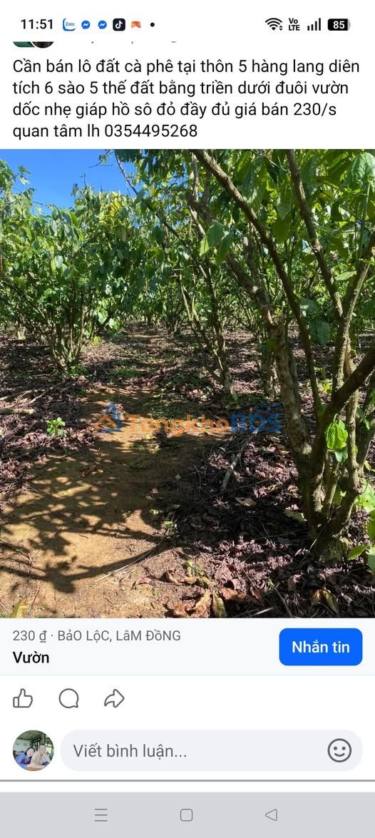 Bán Gấp Farm 13.000m² Lộc Phú, Bảo Lâm - Giá Tốt Đầu Tư