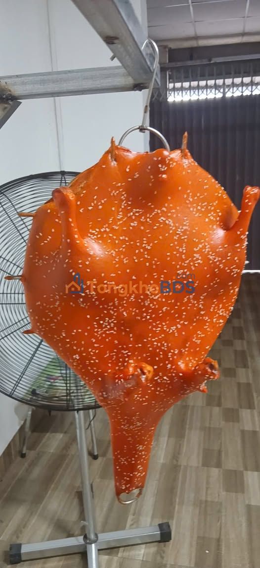 Đất nông nghiệp B'lao 120m² 635 triệu - Tiềm năng tăng giá