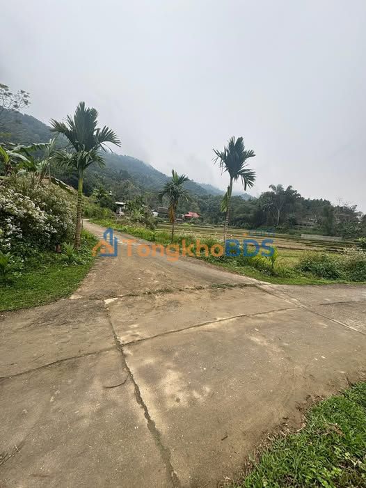 Đất nền Thanh Hà 300m² giá 1.19 tỷ - Sổ đỏ chính chủ