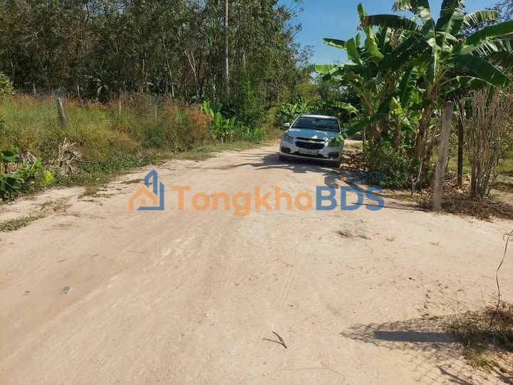 Bán đất 1400m² (300m² thổ cư) Phường Long Hoa, Tây Ninh - Giá 1.2 tỷ