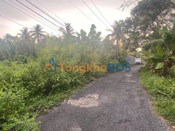 Đất Vĩnh Long 200m² - Mặt Tiền 50m - Sổ Thổ Cư - 6.5 Tỷ