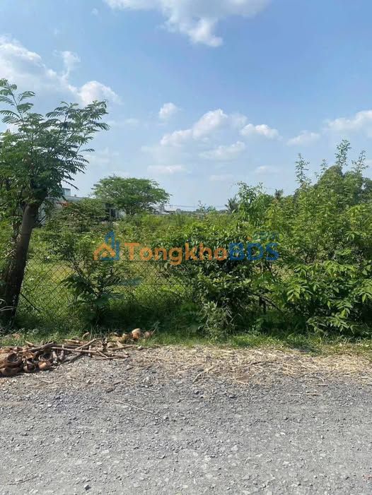 Đất Nền Hậu Nghĩa 140m² Sổ Hồng Full Thổ Cư - Giá 1.15 Tỷ