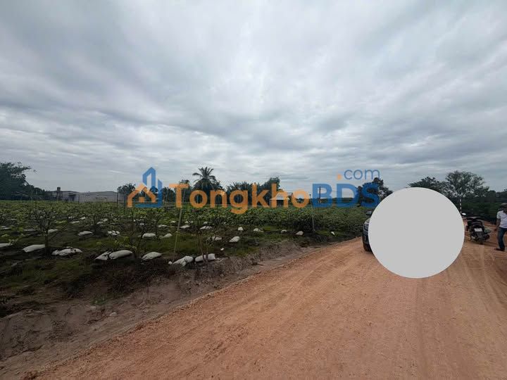 Bán đất Suối Đá, Dương Minh Châu - 225m² giá 275 triệu, đường xe né