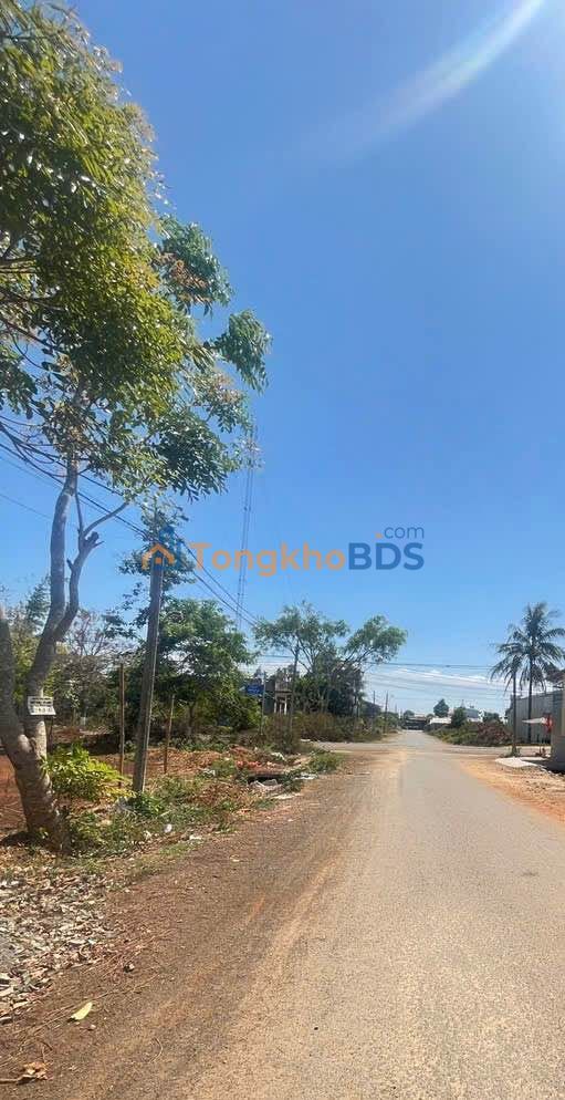 Đất nền Đăk Đoa 125m² 1.2 tỷ - Đất thổ cư 100%