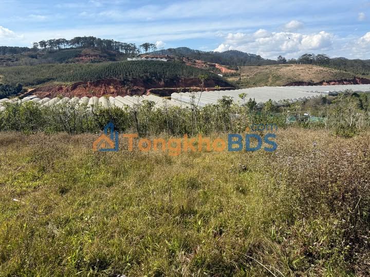 Đất nền Đạ Nhim Lạc Dương 2.160m² - Tiềm năng tăng giá