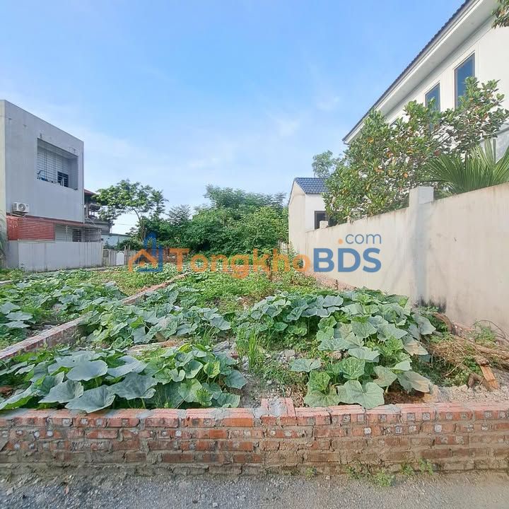 Đất nền Từ Sơn 87m² giá 2.5 tỷ - Sổ đỏ chính chủ