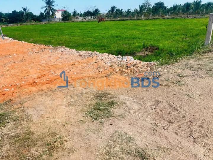 Bán Gấp Đất Vườn 970m² Mặt Tiền Bình An - La Gi, Bình Thuận - Giá Tốt