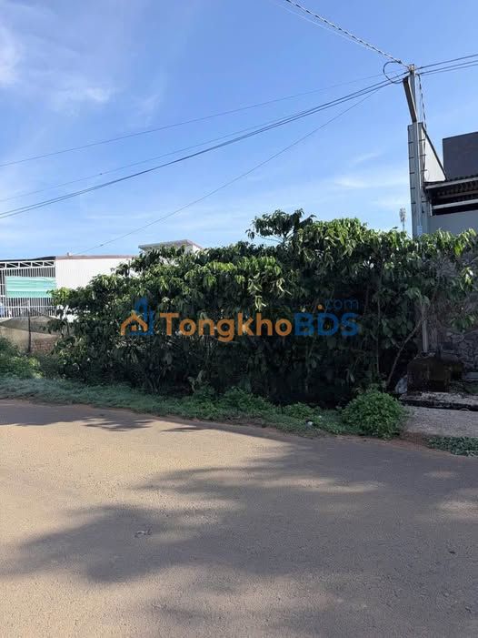 Đất nền Di Linh Nguyễn Văn Cừ 500m² 1.68 tỷ - Sổ đỏ chính chủ