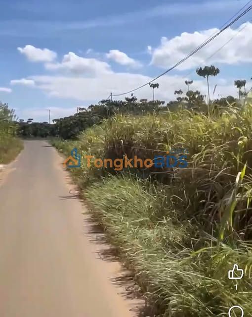 Đất Hẻm Nhựa Đoàn Thị Điểm, Di Linh - 1400m² Giá 2.8 Tỷ, Gần Nhà Thờ Tân Bình