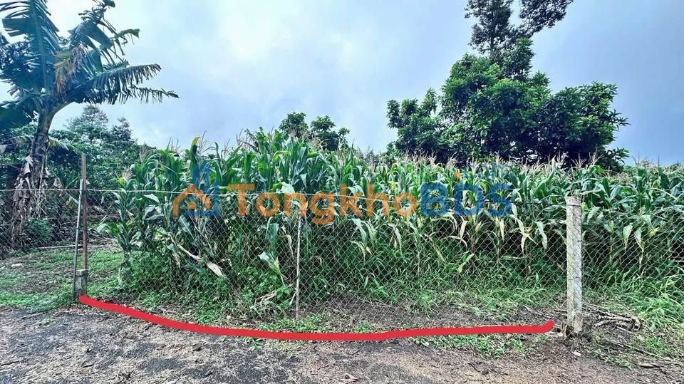 Đất Lộc Sơn, Bảo Lộc 147m² Sổ Đỏ Giá 650 Triệu - Bán Gấp