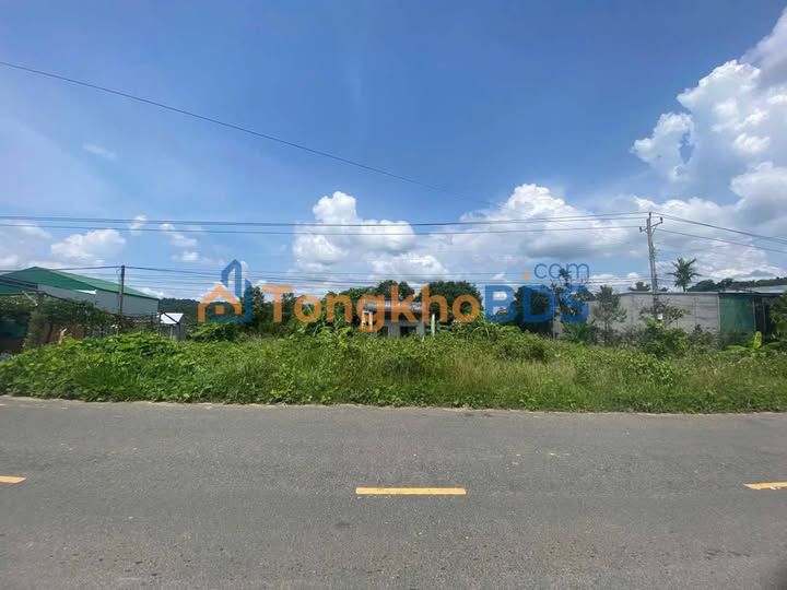 Đất nền La Dạ Hàm Thuận Bắc 12.500m² 4.1 tỷ - Sổ đỏ chính chủ