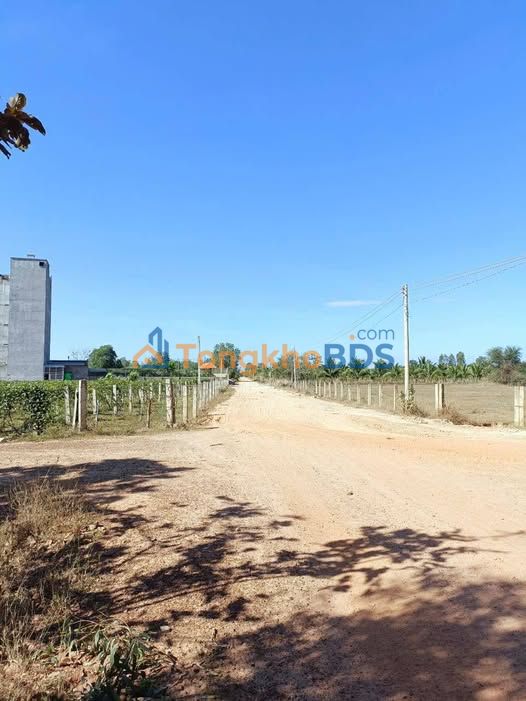 Đất cây lâu năm Hàm Liêm 4ha 177,78 tỷ - Sổ đỏ chính chủ