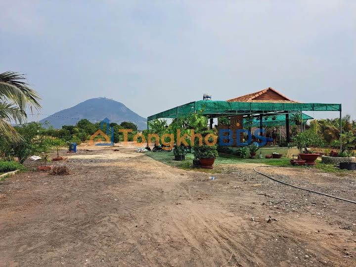 Farm Nghỉ Dưỡng View Núi Bà 2360m² - Đầu Tư Hấp Dẫn Tại Dương Minh Châu