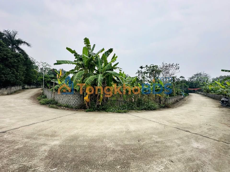 Đất nền Nguyễn Văn Linh Lương Sơn 305m² 3,355 tỷ - Sổ đỏ chính chủ