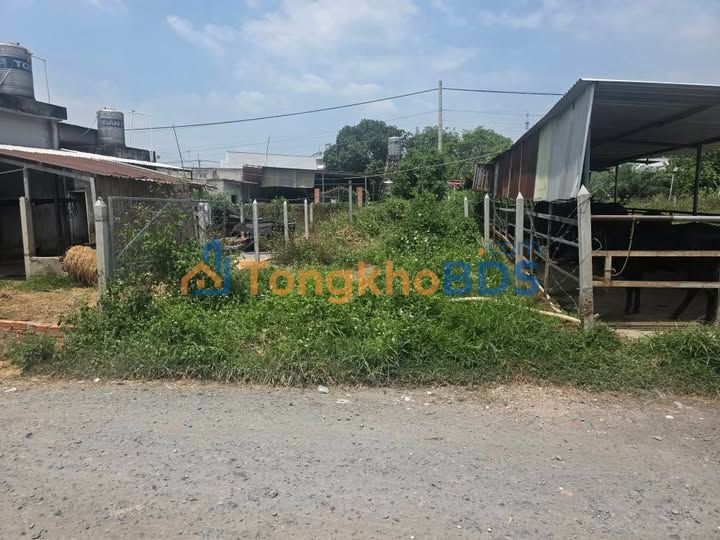 Đất Củ Chi 73m² - Sổ Hồng Full Thổ Cư, Gần Cty May Quảng Việt