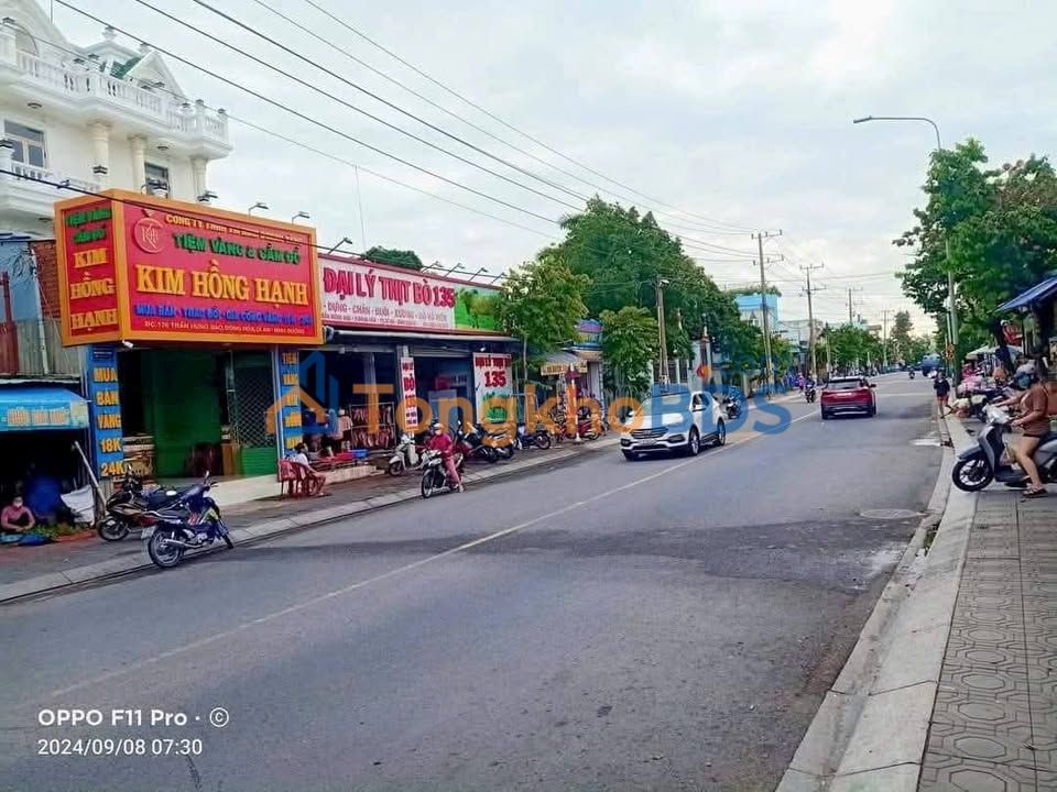 Đất nền Trần Hưng Đạo Dĩ An 1.816m² 64.8 tỷ - Sổ đỏ chính chủ