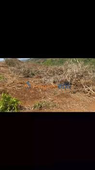 Bán Đất Nền 3.2ha Đak Glô, Đức Trọng - Sổ Đỏ, Giá 950 Triệu