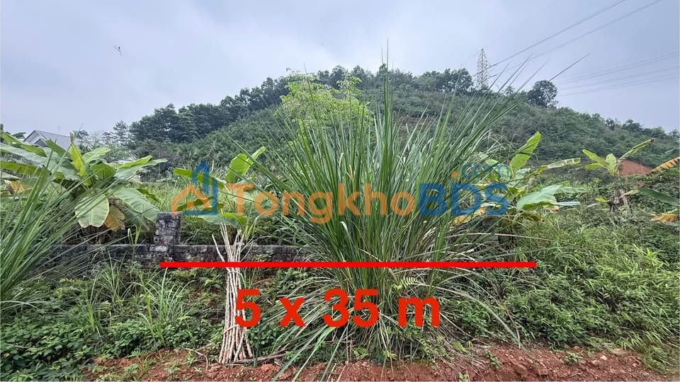 Đất nền Yên Bình 125m2 700 triệu - Sổ đỏ chính chủ