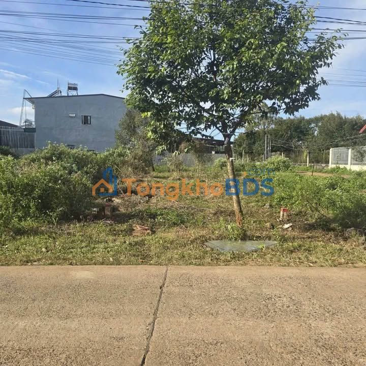 Đất Buôn Ma Thuột 125m² 1.695 tỷ - Sổ đỏ chính chủ, gần ĐH