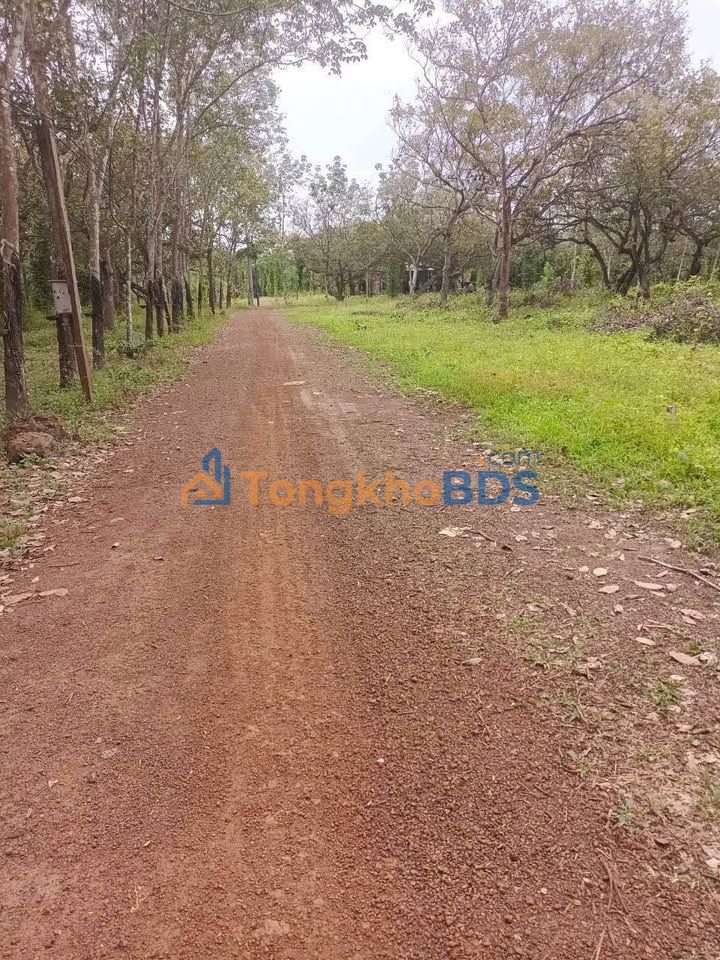 Đất Sóc Quả, Q7 - 360m² Mặt Tiền 13m - Giá Đầu Tư 1xx Tỷ