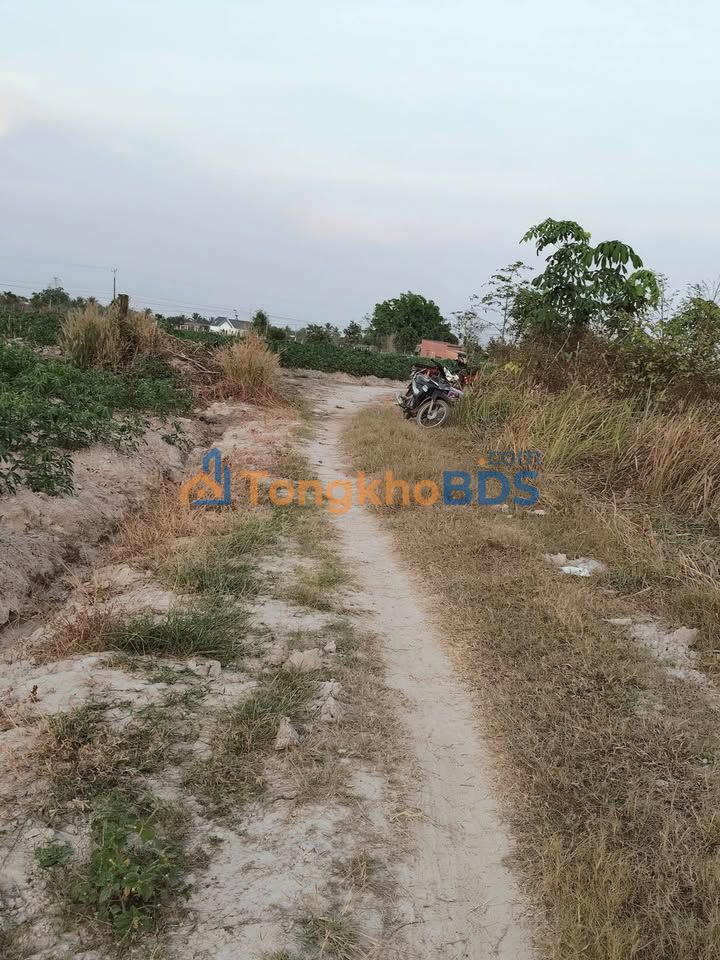 Đất Nền Bình Chánh 28000m² - Sổ Đỏ Sẵn, Giá 5.6 Tỷ/Mẫu