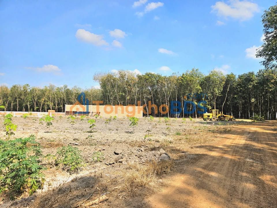 Đất Minh Lập 504m² 200-299 triệu - Giá tốt hiếm có