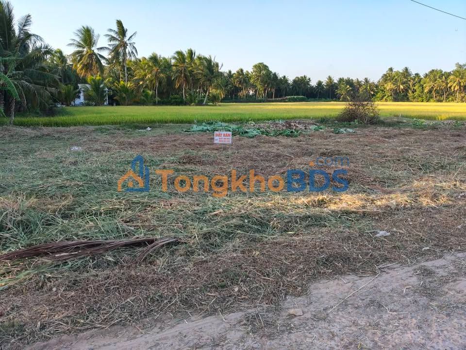 Đất nền Song Lộc Trà Vinh 714m² 1,1 tỷ - Hạ tầng hoàn thiện