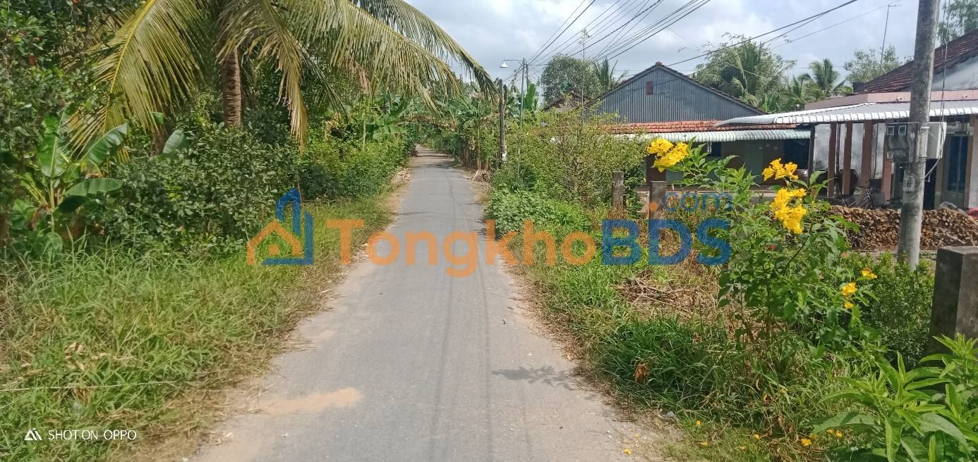 Đất thổ cư Tân Phú Trung Châu Thành 611m² 1.4 tỷ - Sổ đỏ chính chủ