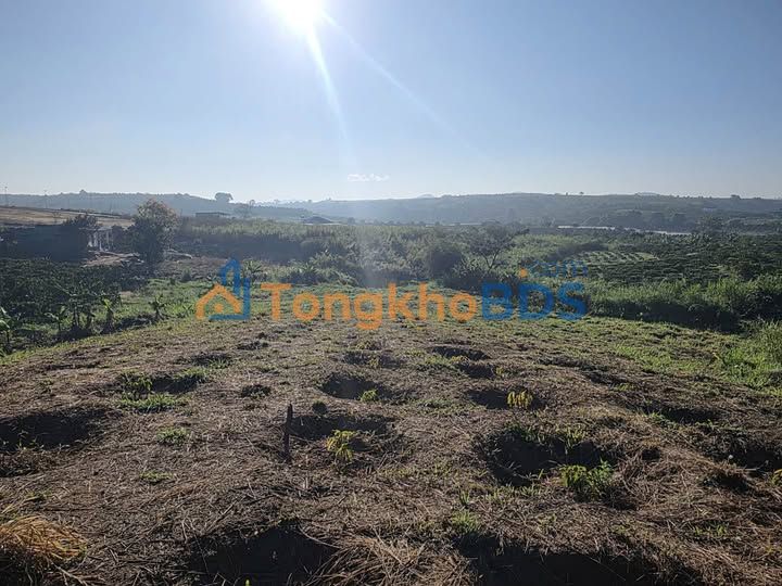 Đất Tân Hà Đức Trọng 2.088m² giá 2 tỷ - Đường to ô tô