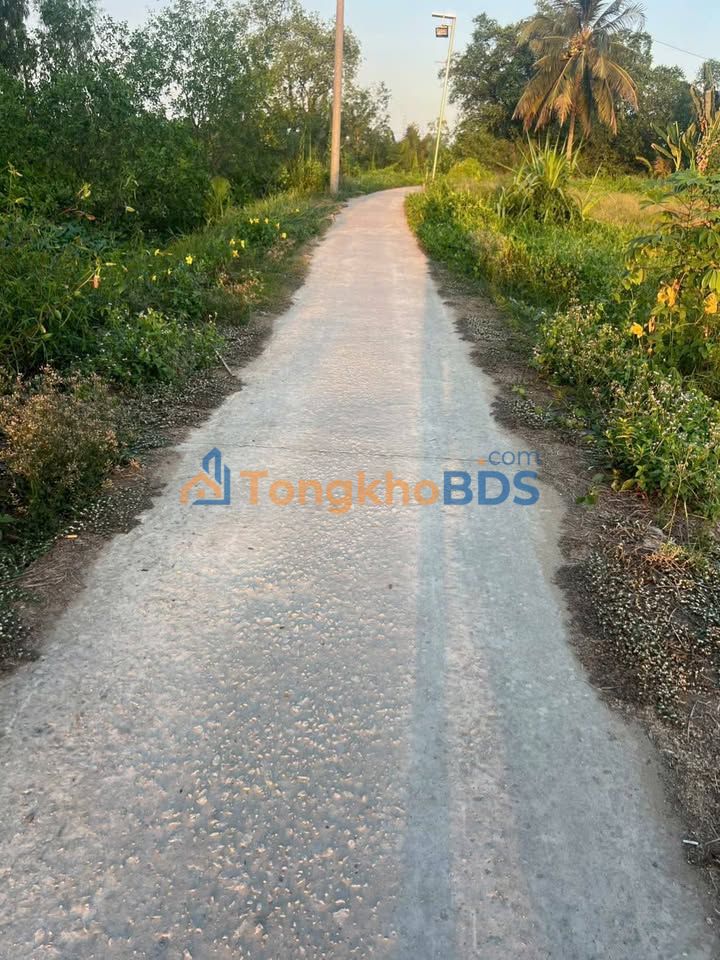 Đất nền Mỹ An Vĩnh Long 90m² 280 triệu - Sổ đỏ chính chủ