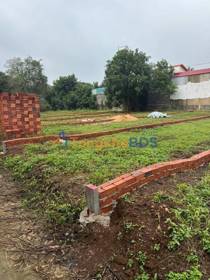 Đất nền Xuân Định 125m² 750 triệu - Sổ đỏ chính chủ