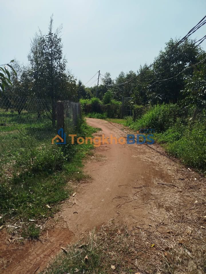 Đất nền Bảo Bình Cẩm Mỹ 10.877m² giá 5.982 tỷ - Đường to ô tô