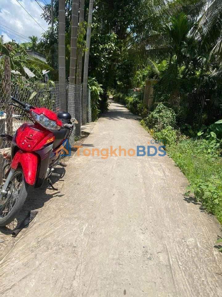 Đất nền Đông Thành Bình Minh 125m² 300-399 triệu - Sổ đỏ chính chủ