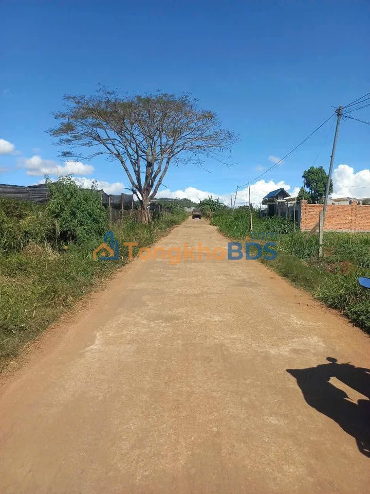 Đất Nền Đức Trọng 4700m² - Hai Mặt Tiền Đường Bê Tông, Sổ Hồng Sẵn Sàng