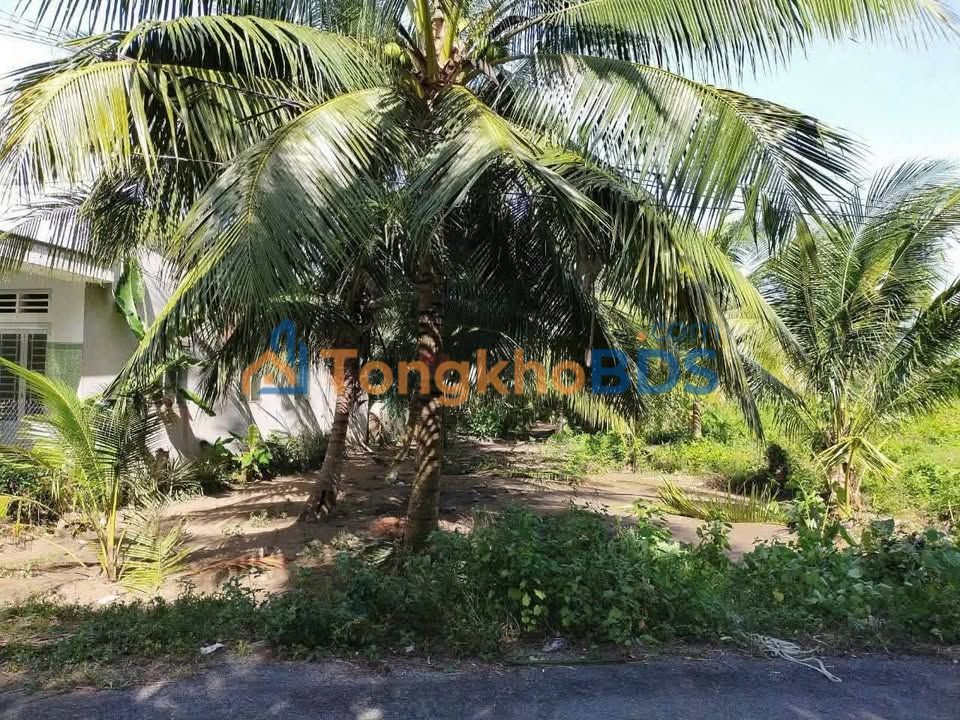 Đất vườn P.5 Vĩnh Long 25.000m² 2.5 tỷ - Đầu tư dài hạn