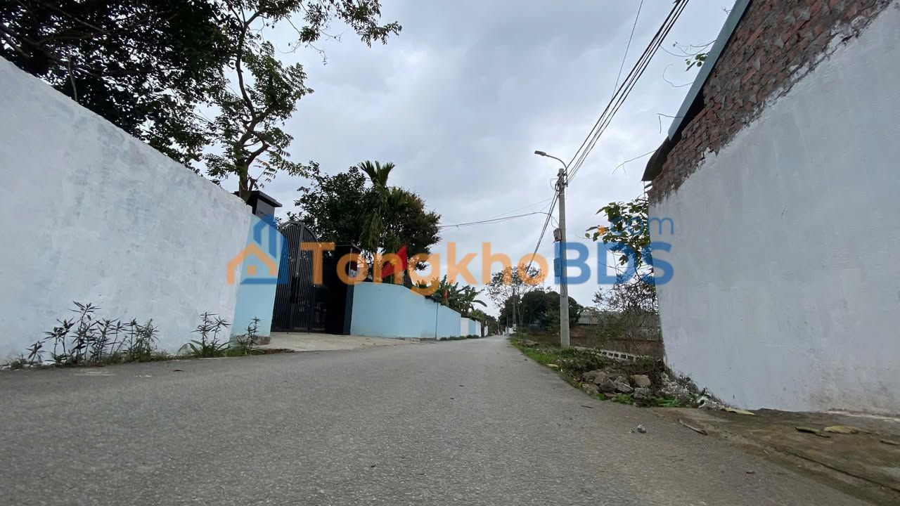 Đất nền Thanh Vân Tam Dương 123m² 1.2 tỷ - Sổ đỏ chính chủ