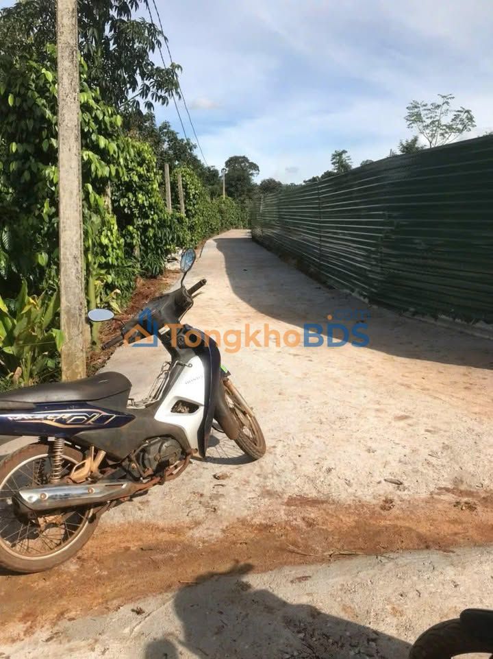 Mặt tiền Sư Vạn Hạnh Buôn Hồ 150m² - Giá 550 Triệu