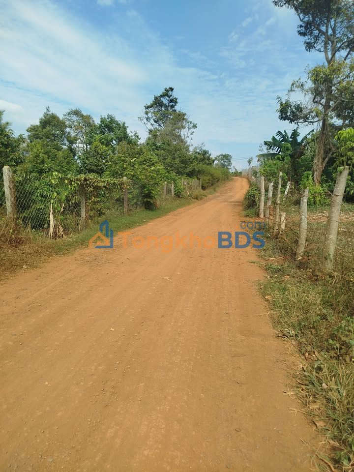 Đất nền Buôn Hồ Trần Thủ Độ 900m² 2.1 tỷ - Sổ đỏ chính chủ