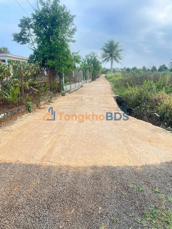 Đất nền Biên Hòa Thống Nhất 525m² - Tiềm năng tăng giá