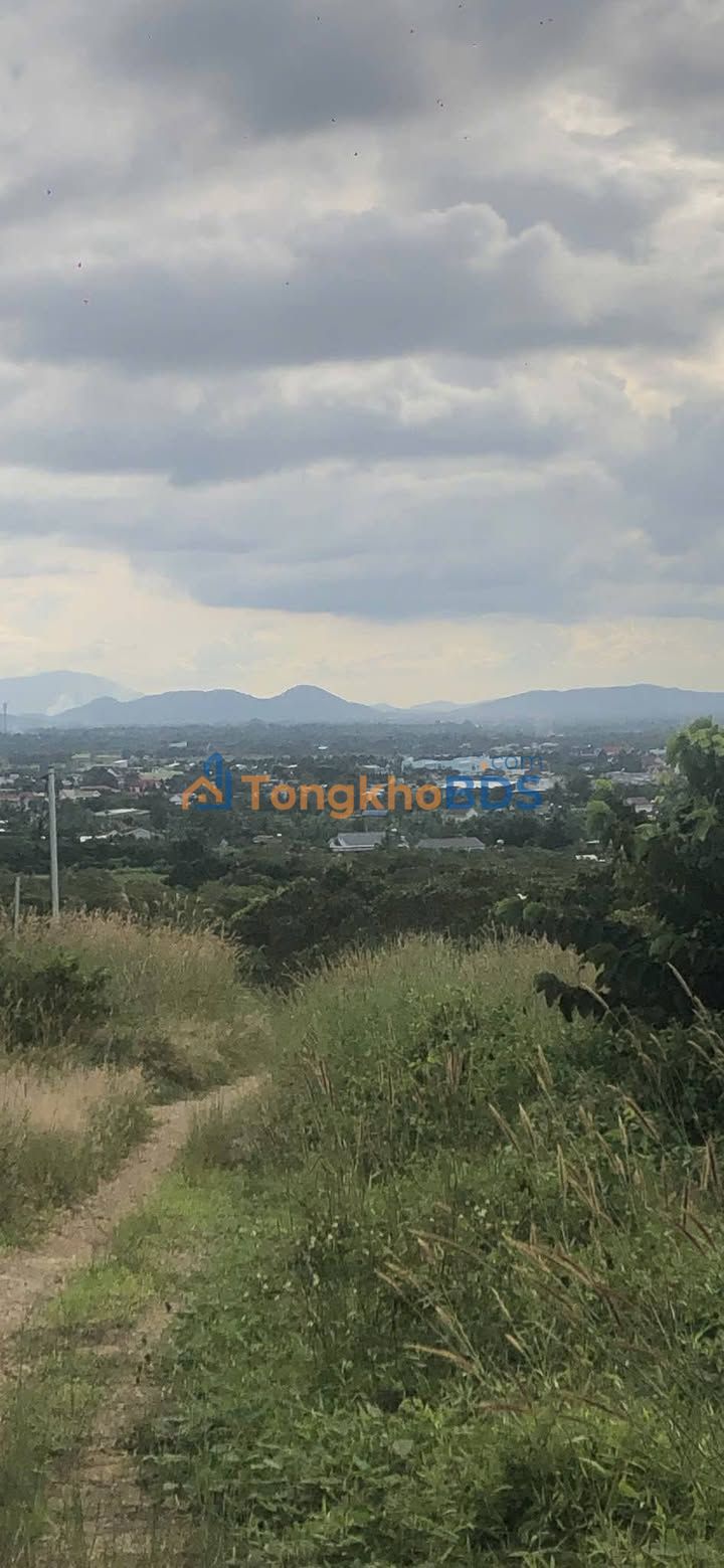 Đất vườn Ea Ô Ea Kar 10ha 5.9 tỷ - Sổ đỏ chính chủ