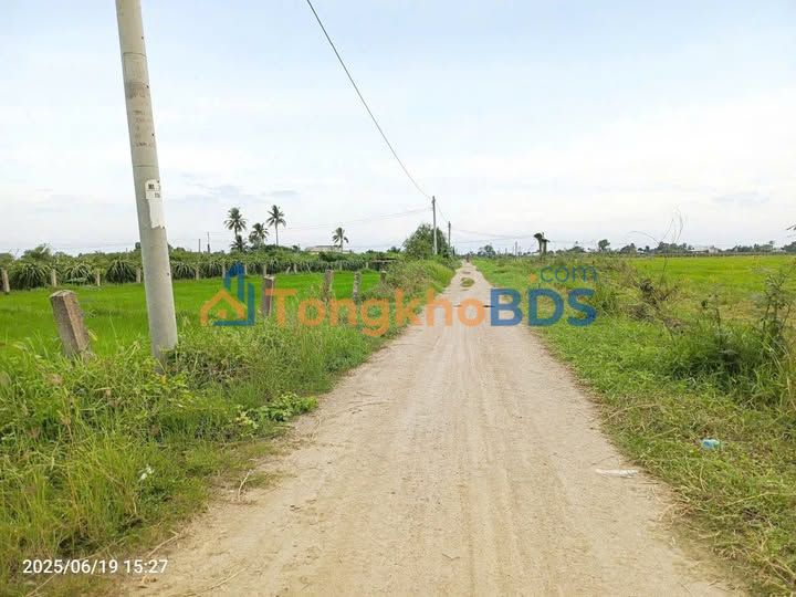 Đất Hàm Chính 1500m² 600 triệu - Sổ đỏ chính chủ