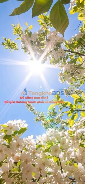 Chung cư Usilk Hà Đông - Căn góc 116m², 3PN, Full nội thất mới