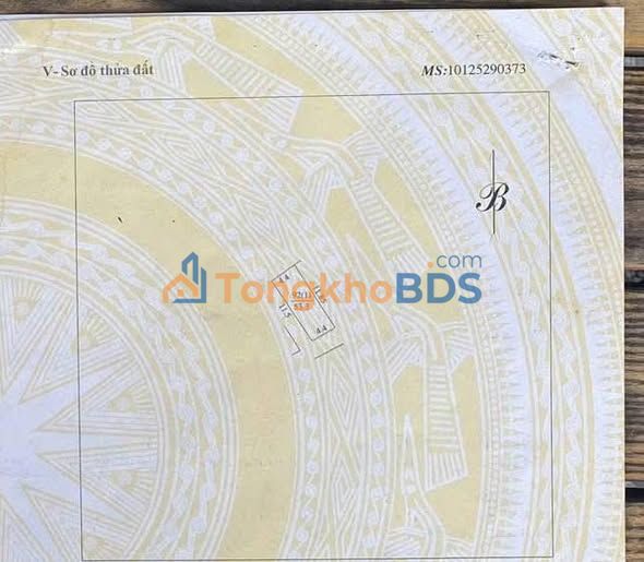 Đất Kim Giang Thanh Xuân 53m² 12 tỷ - Pháp lý rõ ràng