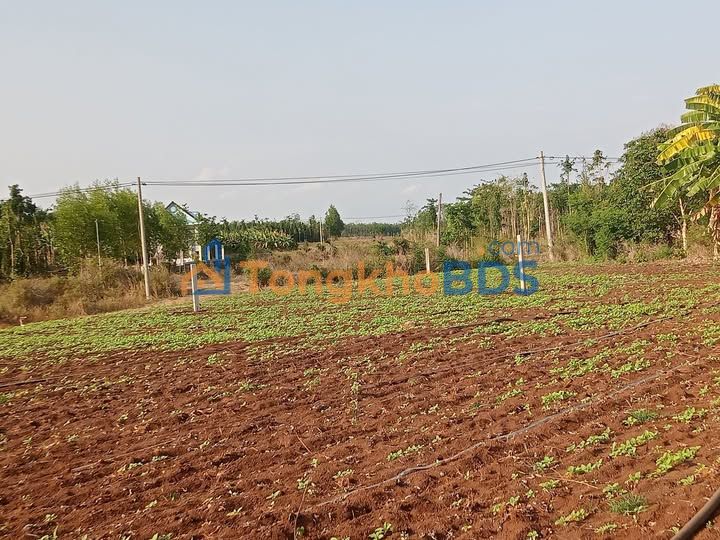 Bán Đất Nghĩa Thành Gia Nghĩa 408m² Giá 850 Triệu - Sổ Đỏ Rõ Ràng