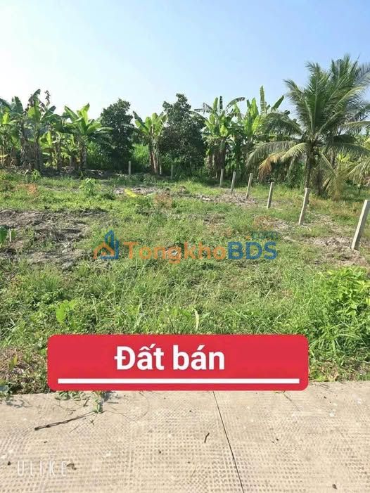 Bán đất vườn Long An 2000m² - Sổ hồng CC, giá 1.7 tỷ