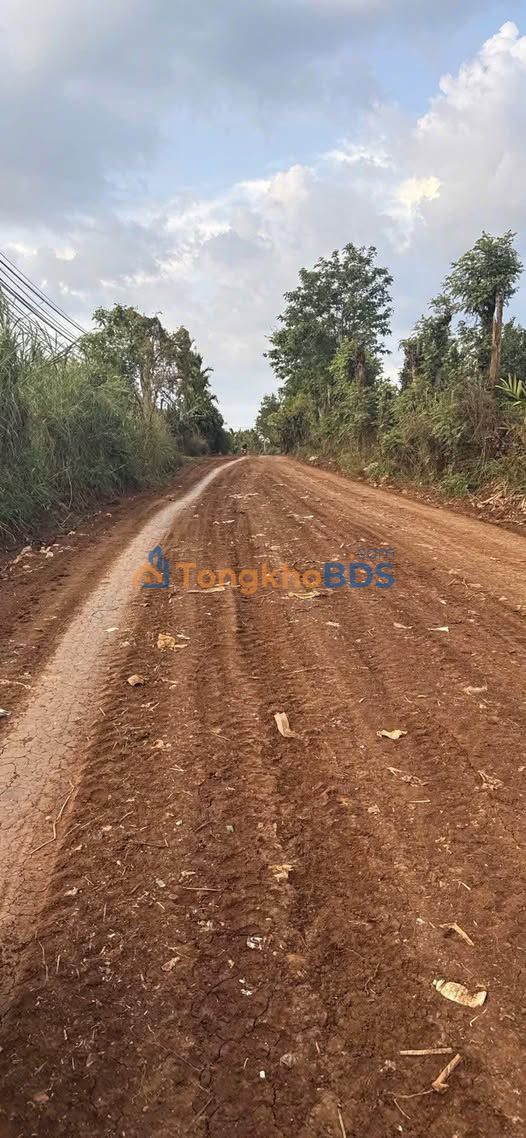 Đất Buôn Hồ Mai Hắc Đế 150m² giá 1.2 tỷ - Đất thổ cư 100%