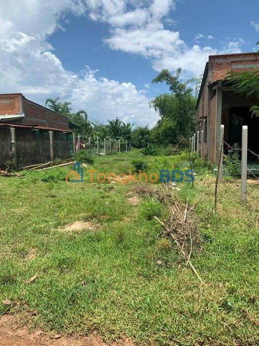 Đất An Ninh Tây Long An 351m2 1.39 tỷ - Sổ hồng chính chủ