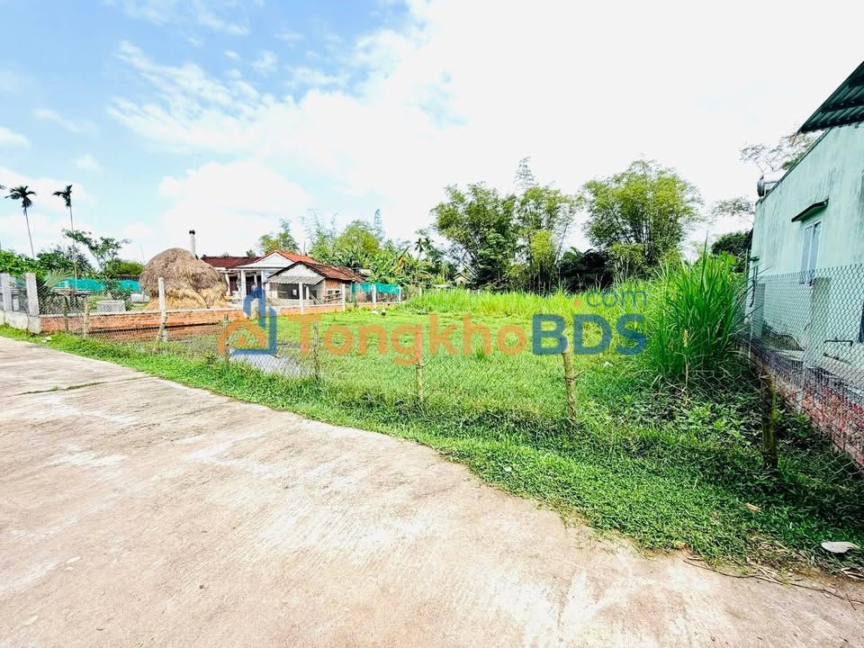 Đất vườn Bình Trung Thăng Bình 706m² 800 triệu - Xây dựng tự do